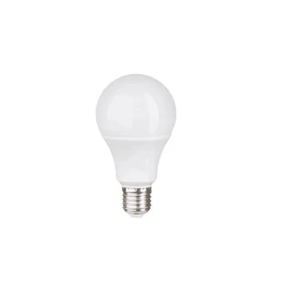 Lâmpada Bulbo A65 12W 6500K Branco Frio - Evoled LE-3210-Padrão Capa site-Decor Lumen 