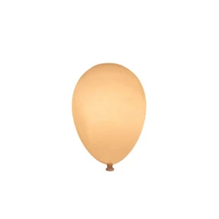 Plafon Balão Bexiga Polietileno Branco E27